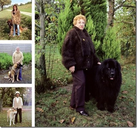 dog-wool1
