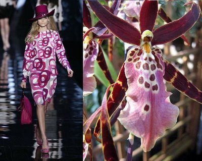orchid2.jpg