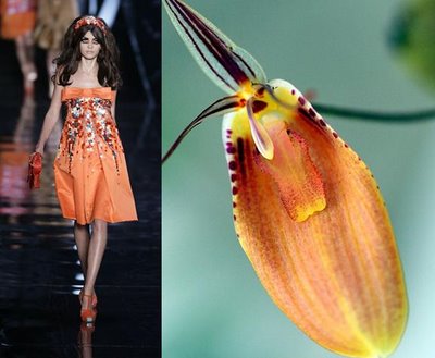 orchid7.jpg