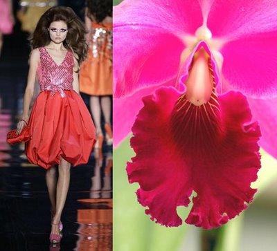 orchid8.jpg