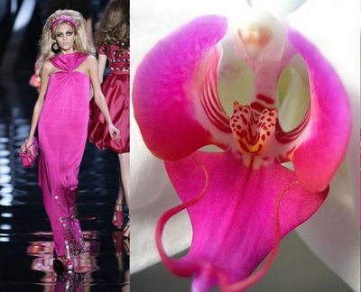 orchid9.jpg