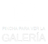 Cargar galeria