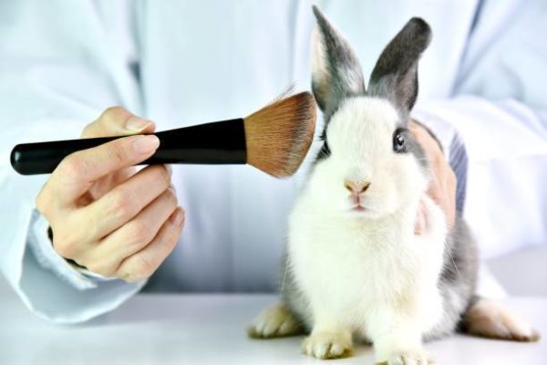 Marcas cruelty free 4 